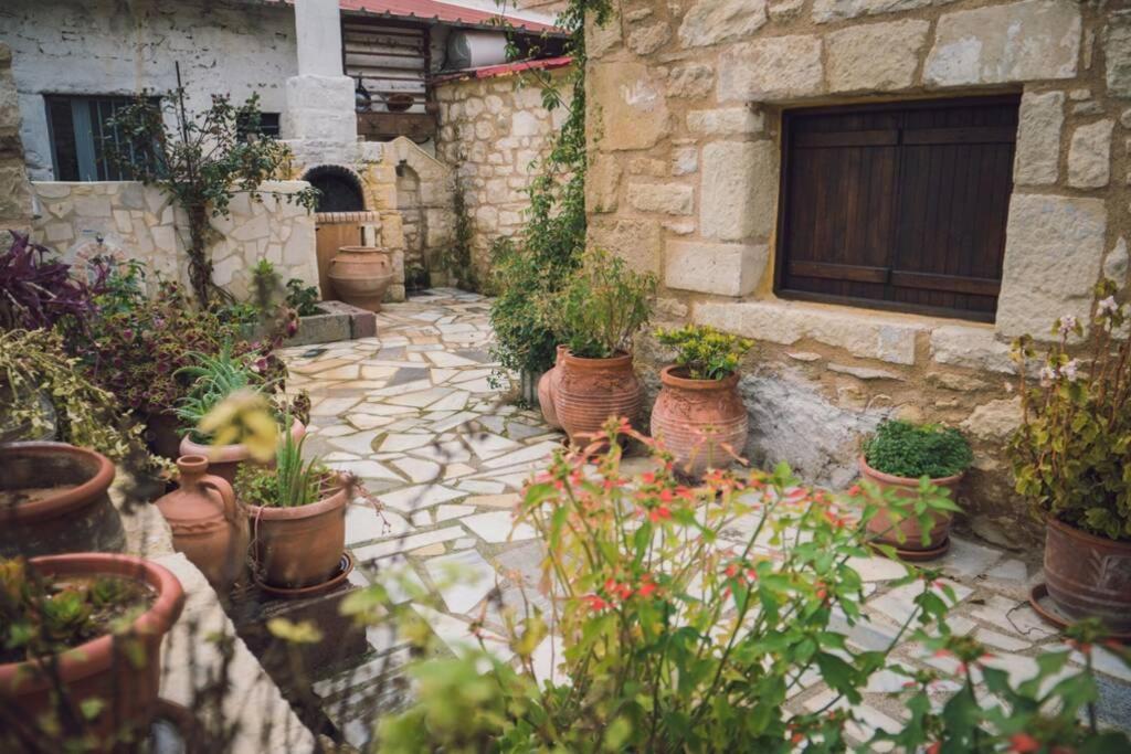 The Royal Stonehouse : Sophia Villa Vasiliki  Екстериор снимка